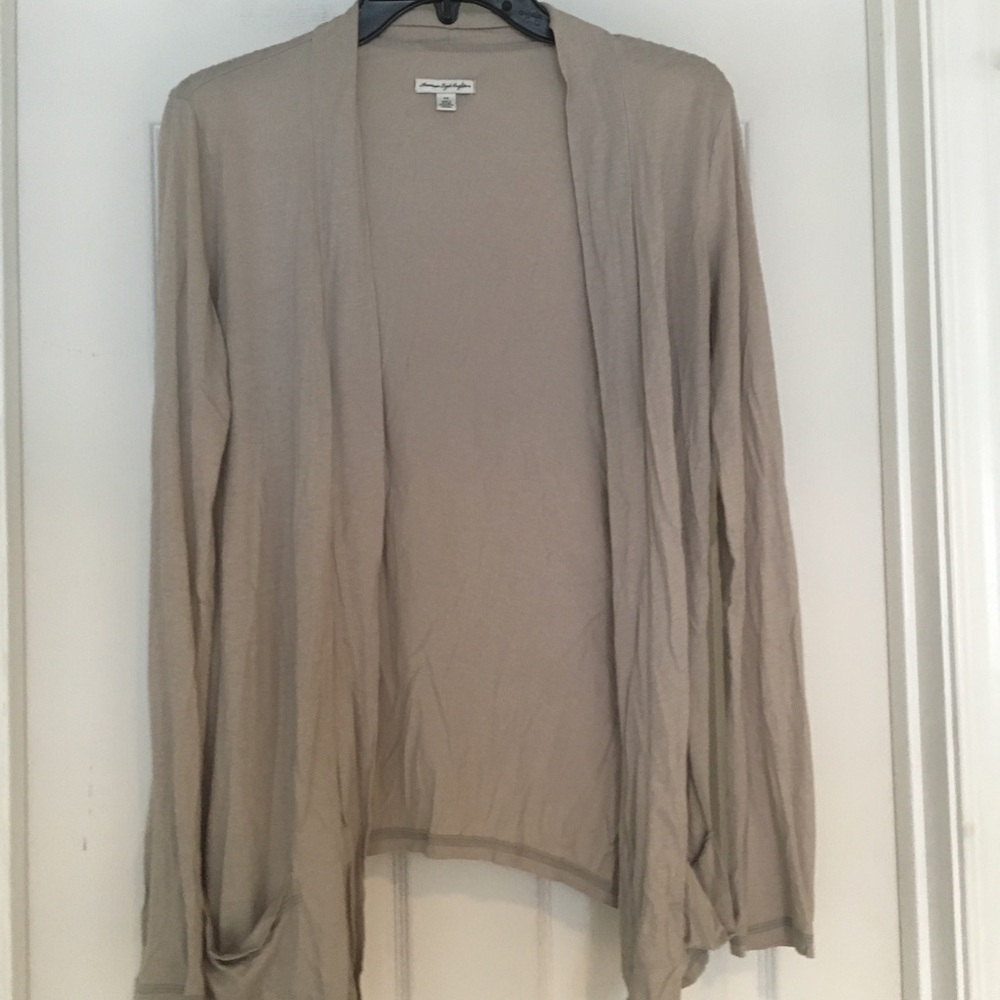 American Eagle Cardigan